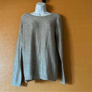 The Limited Sparkly Sweater